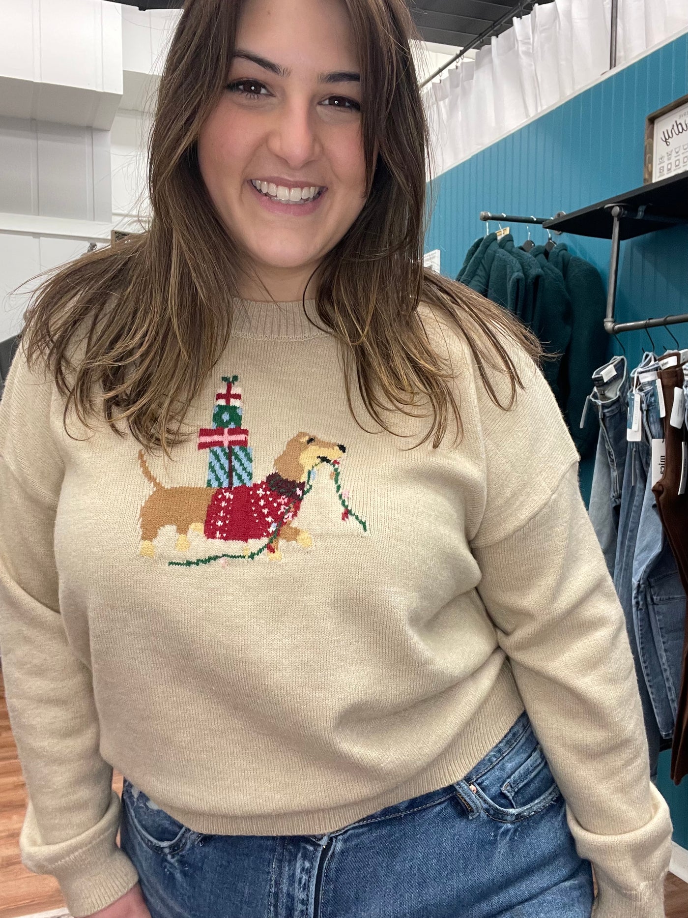 Weiner Dog Holiday Graphic Sweater