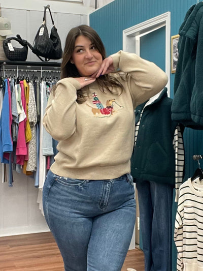 Weiner Dog Holiday Graphic Sweater